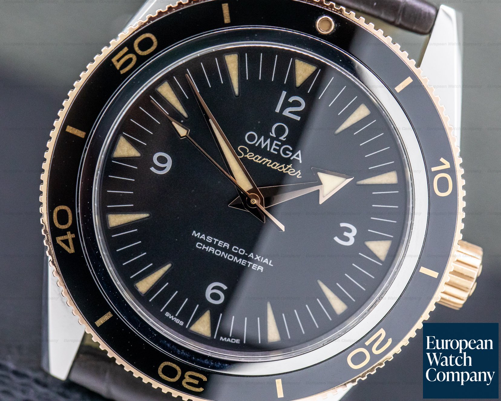 Omega Omega Seamaster 300M Master Co-Axial SS / RG 41MM Ref. 233.22.41.21.01.002