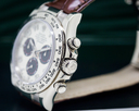 Rolex Daytona 18K White Gold / Panda Dial Ref. 116519 WA
