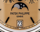 Patek Philippe Advanced Research Annual Calendar Platinum Salmon Dial Limited UNWORN Ref. 5450P-001