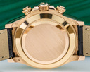Rolex Cosmograph Daytona 18K Rose Gold Ivory Dial / Alligator Ref. 116515LN