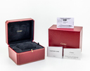 Cartier Santos-Dumont Limited Edition Platinum Le Bresil UNWORN Ref. WGSA0034