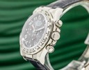 Rolex Daytona 116519 18K White Gold / Grey Dial FULL SET Ref. 116519 GREY