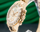 Rolex Daytona 116505 Everose Gold Ivory Dial 2019 Ref. 116505