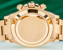 Rolex Daytona 116505 Everose Gold Ivory Dial 2019 Ref. 116505