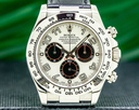 Rolex Daytona 116519 18K White Gold / Panda Dial Ref. 116519 WA