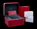 Cartier Privee Collection Tank Asymetrique WGTA0042 Platinum Ref. WGTA0042